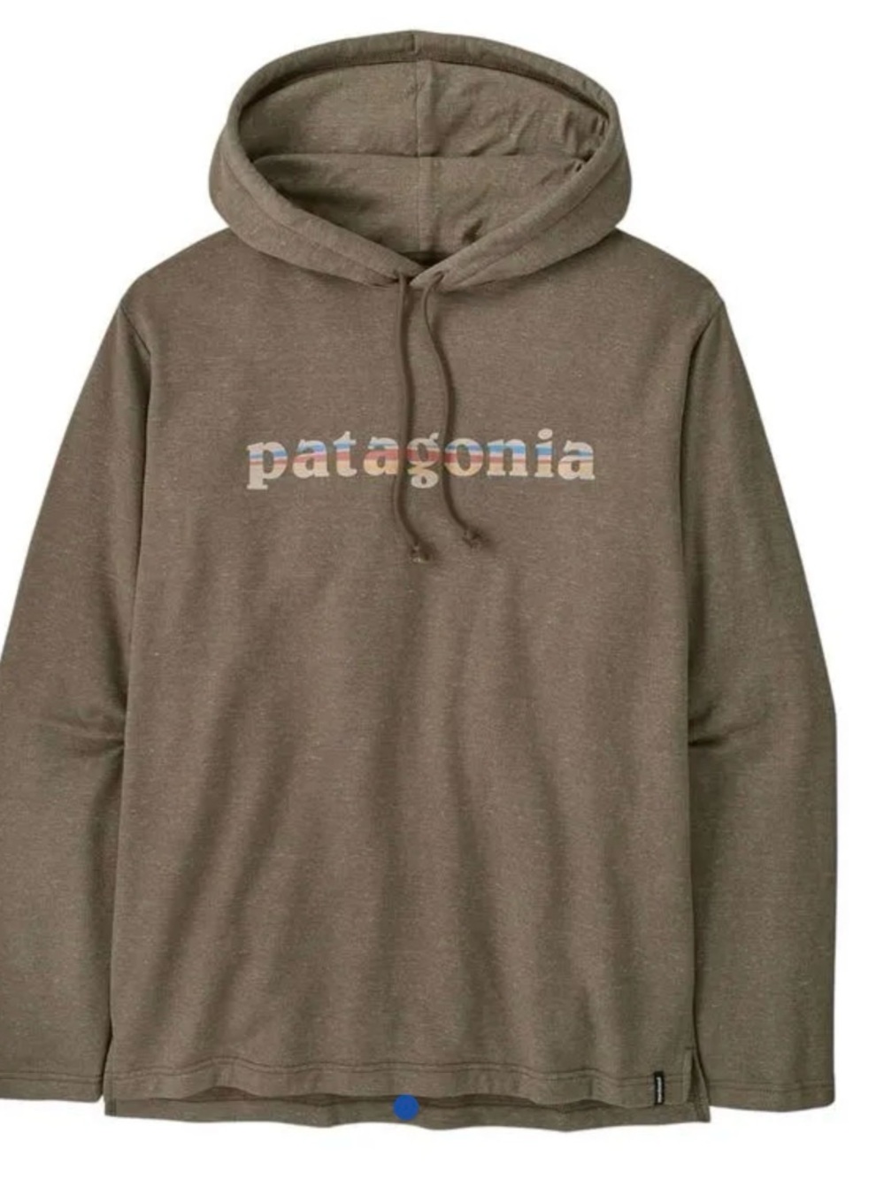NWT Patagonia ‘73 Text Logo Wildrise Hoody Sweatshirt M Mens